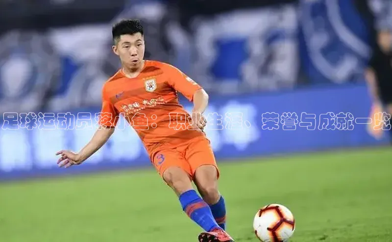 杏悦app下载官网最新版本更新内容百度 H5