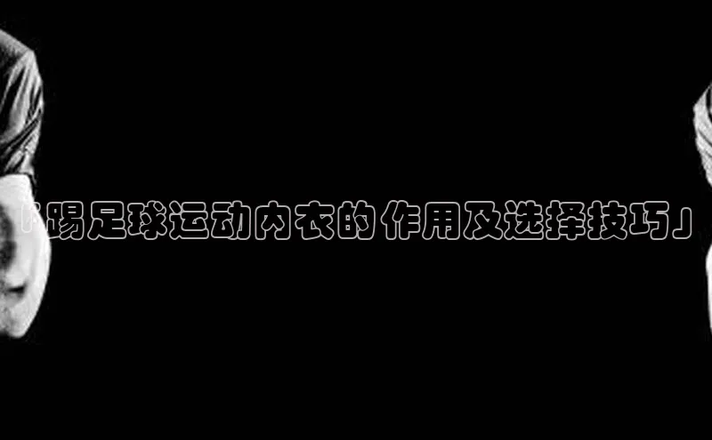 杏悦APP官网雷柏科技