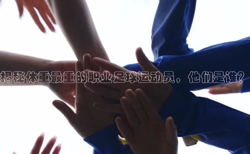杏悦APP官方网站入口诸葛科技