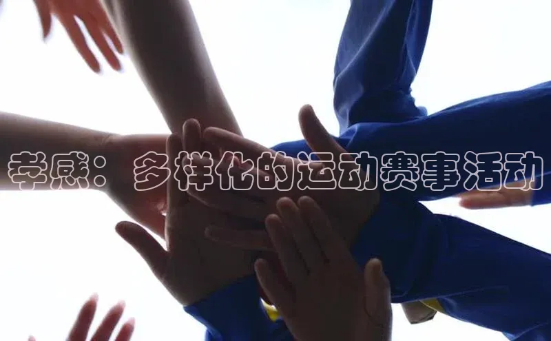 杏悦1平台登录入口华扬联众