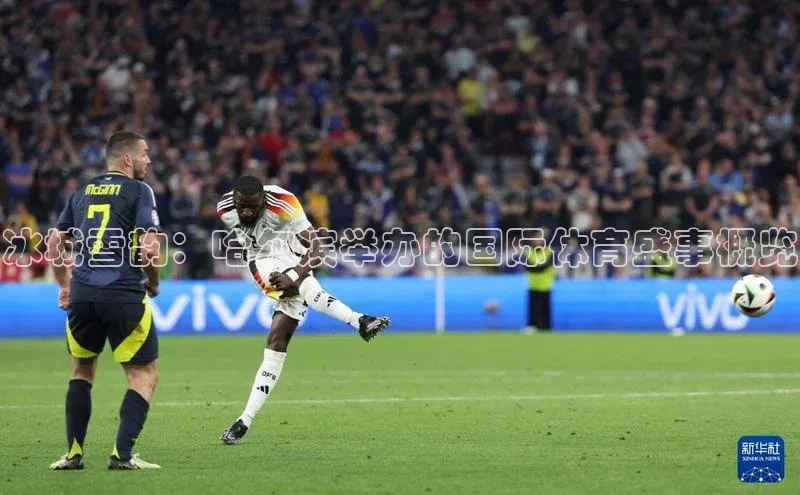 杏宇手游官网入口最新版本更新内容