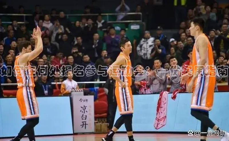 杏宇平台登录入口注册账号