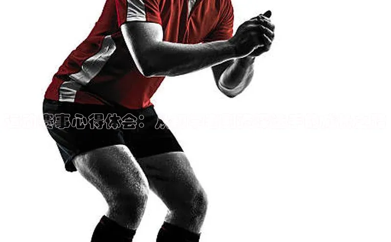 杏宇平台登录入口注册账号