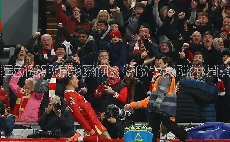 杏宇平台登录官网