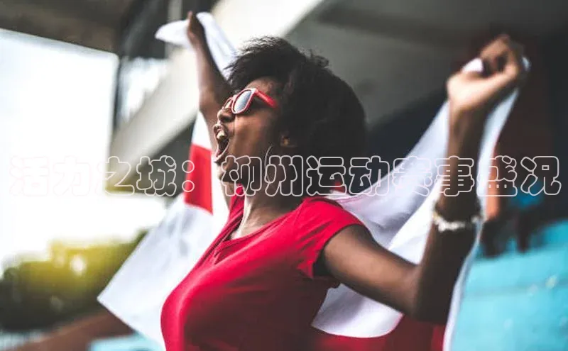 杏宇手游官网入口最新版本更新内容