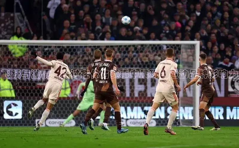 杏宇娱乐平台登录