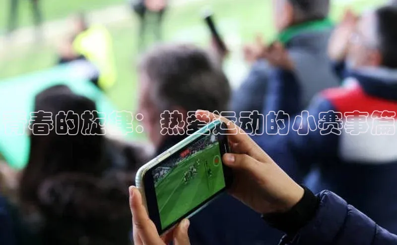 杏宇手游官网入口最新版本更新内容