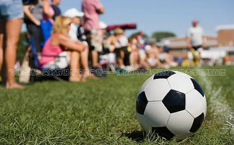 杏宇代理登录中心