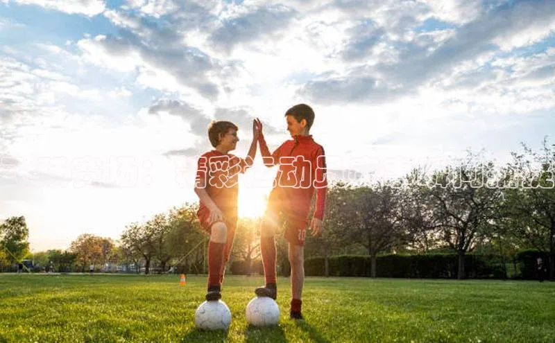 杏宇娱乐平台登录