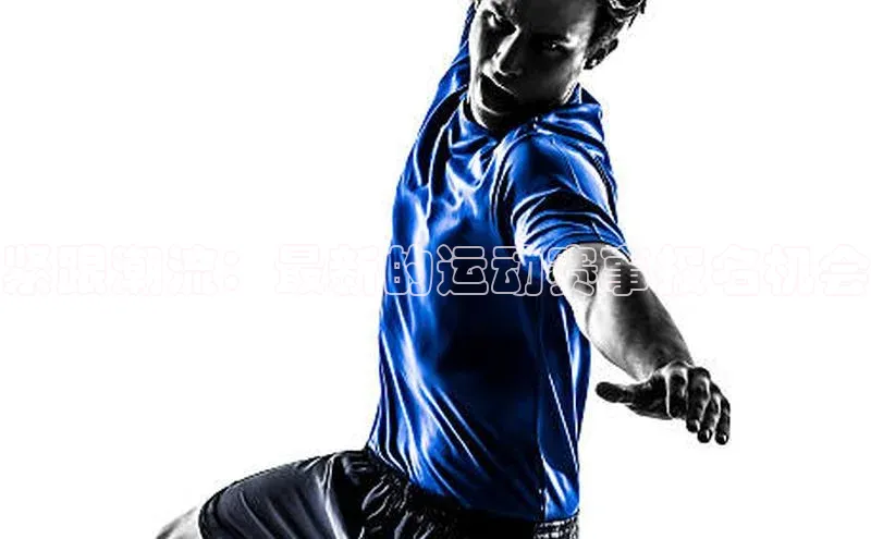 杏宇代理登录中心