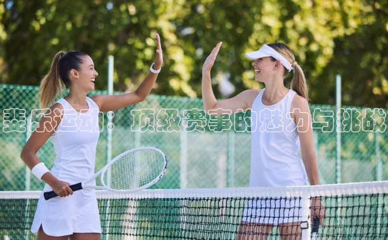 杏宇平台登录入口2024最新版