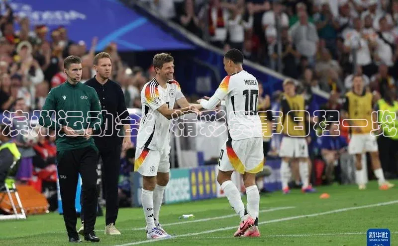 杏宇平台登录官网