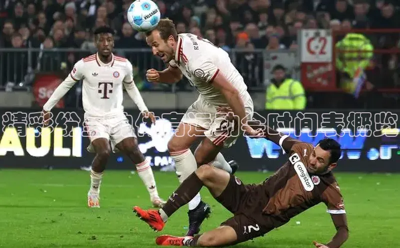 杏宇注册平台登录