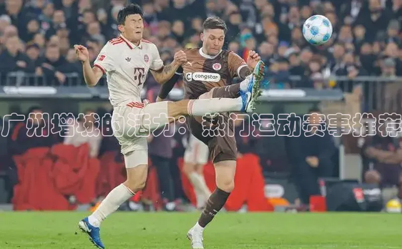 杏宇注册